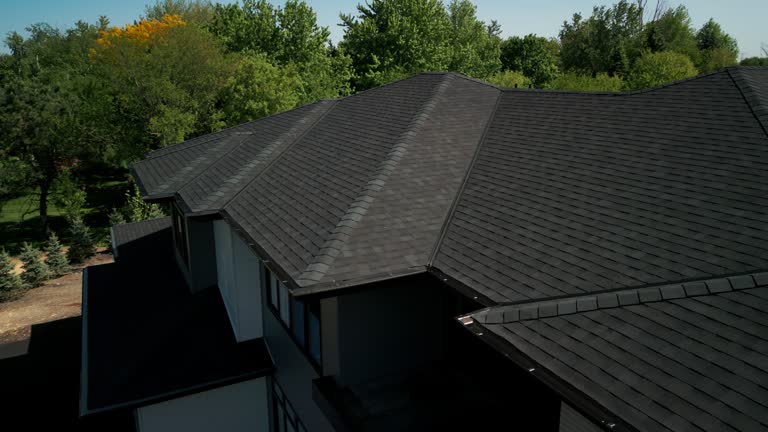 Best Metal Roofing Installation  in High Ridge, MO